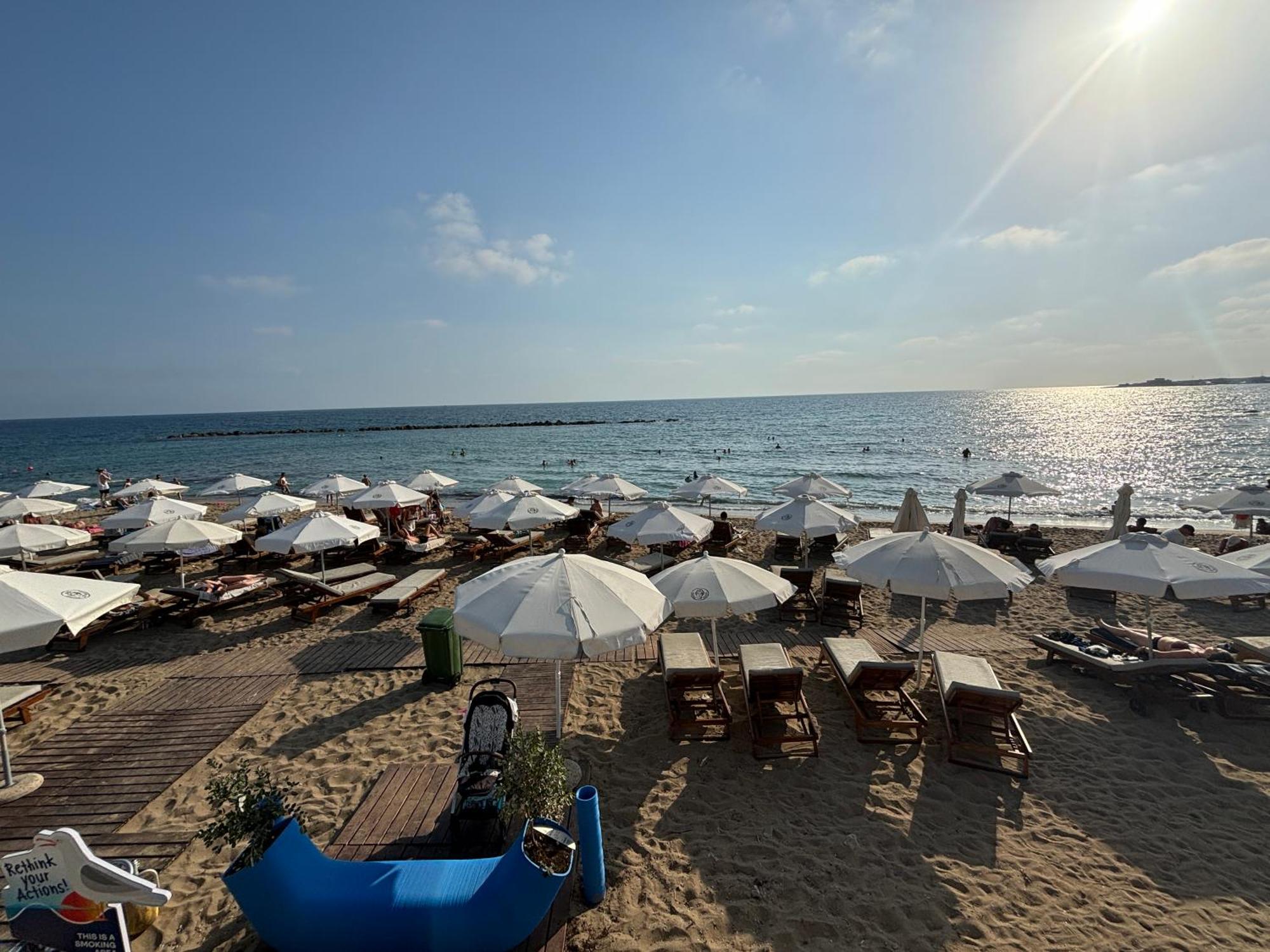 شقة 1B Seaside Orchid, Sea, Center بافوس المظهر الخارجي الصورة